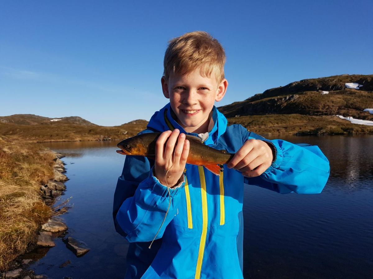 Etne Hytter Etnesjoen Exteriér fotografie